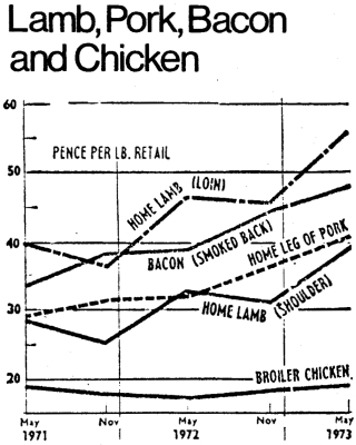 Meat Prices