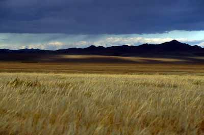 Central Asian steppe