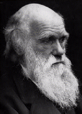 darwin