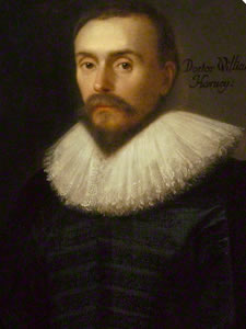 Retrato William Harvey